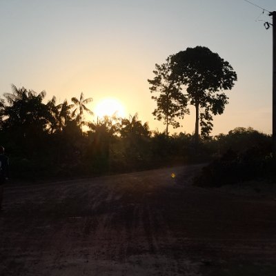 Bacharel em Serviço Social. Meu lema desburocratizar e intervir, ter um olhar sensível e apurado com responsabilidade e profissionalismo 😚