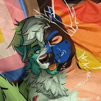spliteNSFW (@nsfwsplitew) 's Twitter Profile