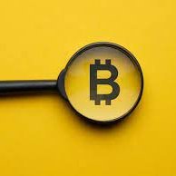 Bitcrypto_blog's profile picture. 