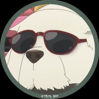 ガウチョ (@gaucho525) 's Twitter Profile