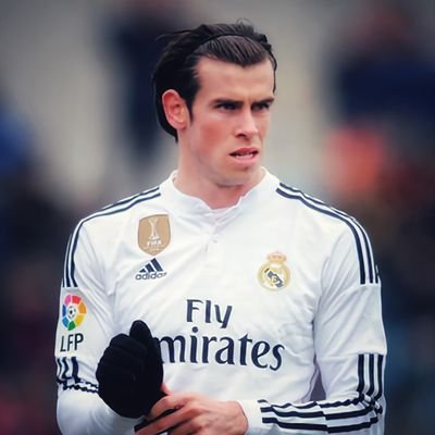 Gareth Bale Enjoyer, ABHRMS Founder