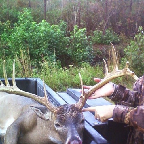 Ccccvbbnnd22's profile picture. 