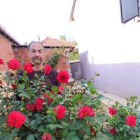 BESİKTAS aliosman (@osmanksk3) 's Twitter Profile