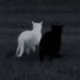dark (@rocar_edits) Twitter profile photo dark (@rocar_edits) Twitter profile photo
