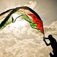 Free Palestine(@BreRVA) 's Twitter Profile Photo