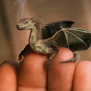 ZandyRizzo's profile picture. 