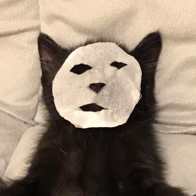 мошка в каскеさんのプロフィール画像
