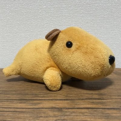 一児の親で最近トレカを始めました。主にはワンピース、ポケカのコレクションをやってます✨まだまだ初心者ですがよろしくお願いします😄