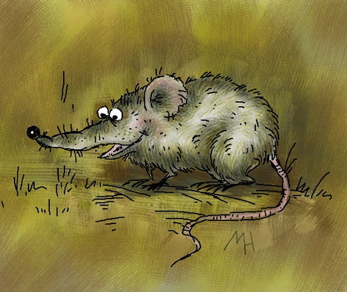 moody_rat's profile picture. 