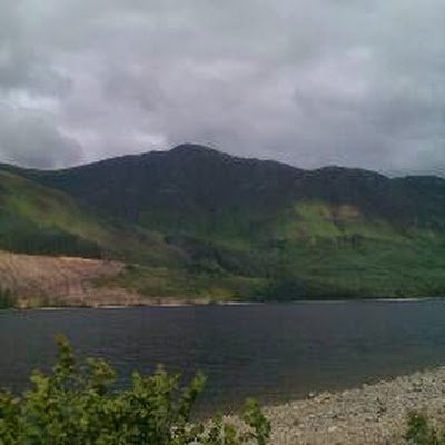 AlfredMort43441's profile picture. 