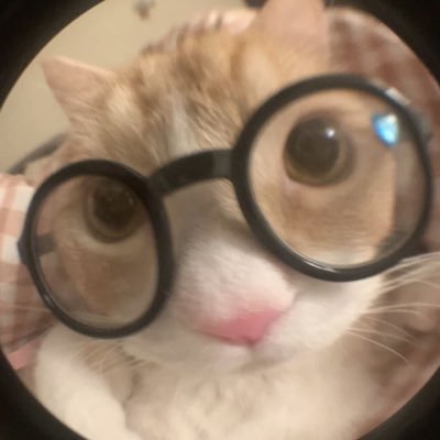 ฟอสอさんのプロフィール画像