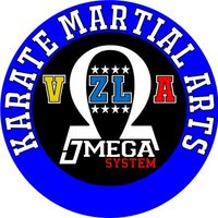 SL Karate Omega Venezuela(@SLKarateOmegaVE) 's Twitter Profile Photo