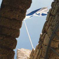 🎗️🇮🇱🎗️Martinus Palus Profundus 🎗️🇮🇱🎗️ (@martindiepeveen) 's Twitter Profile
