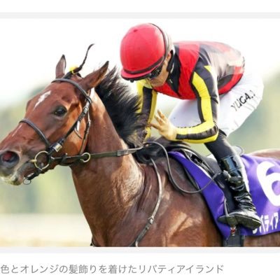 競馬 野球 ゴルフ ラーメン 猫 酒 サウナが大好きなごくごく普通の男性です。十三によく出没しています　DMは仲良くなってからで👍