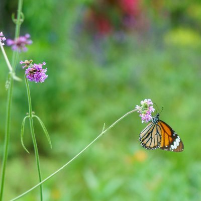 HCore1981's profile picture. 