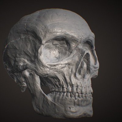 ArtemisRiedi's profile picture. 