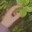 Nwn13331G's profile image