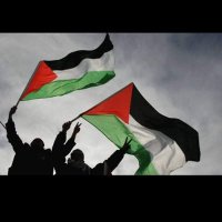 غزة فلسطين (@uxtr9miyk429178) 's Twitter Profile