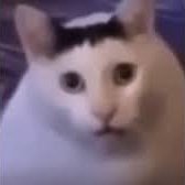 PrendsCeRatio's profile picture. Je suis tendu