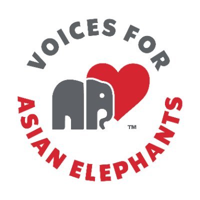 VFAE is a 501 C3 charity with a mission to protect endangered Asian elephants and foster a peaceful coexistence, while alleviating the suffering of captive 🐘🐘