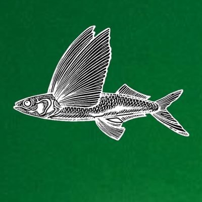 ikan udara주さんのプロフィール画像