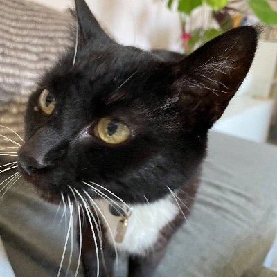 mnstvns's profile picture. 