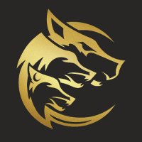 Cerberus (@0xcerberusxr) 's Twitter Profile