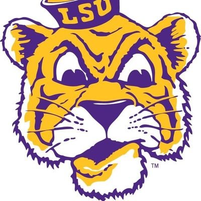 LSU Fanatic