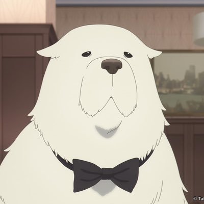 Streamer | Motorcycle Enthusiast | Cherokee Indian | Twitch Affiliate | Cash App: $SittingBear l Business Inquires: Sittingbearofficial@gmail.com