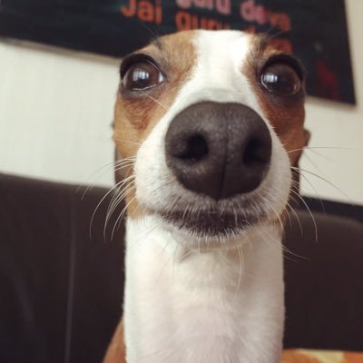 마편さんのプロフィール画像