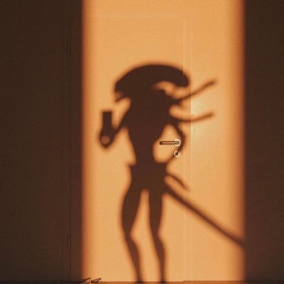 karlafloress4's profile picture. 🇲🇽 disclaimer: my bad