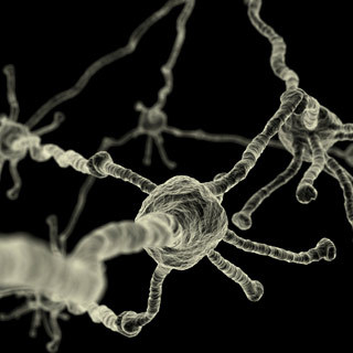 DivanDivanuch's profile picture. 