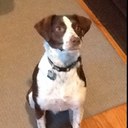 Aaron Hassinger - @AHassinger - Twitter