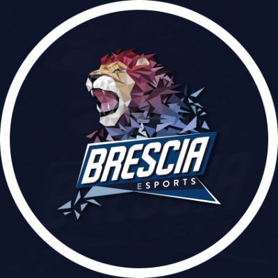 🇮🇹 Official VPC Team for: @Brescia_Esports
🗣 GM: @MaxKidd7_, @pochoox1
🏆🏆 

ʀᴇᴀᴅʏ ᴛᴏ ʀᴏᴀʀ! 🦁