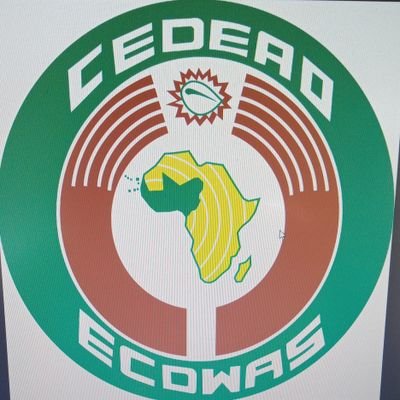 Representing the ECOWAS region at the United Nations.