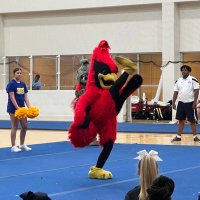 MMS Cheer & Birdies (@mmscheer_cards) 's Twitter Profile