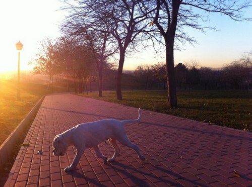 Juangonz312's profile picture. 