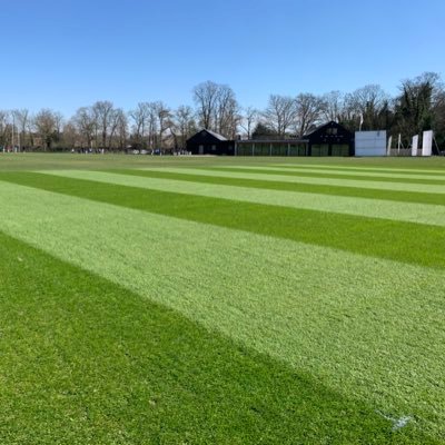 Specialise in cricket renovations and aeration  Middlesex County pitch advisor  07445624601 tomhud@btinternet.com