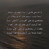 أرح سمعك وقلبك ❤️ (@zezo33515) 's Twitter Profile