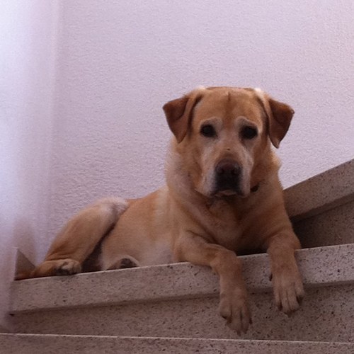 phixxius77's profile picture. Tècnic en Emergències Sanitàries 🚑