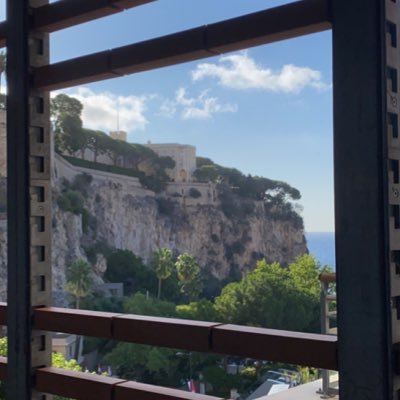 MenardoDiego's profile picture. 