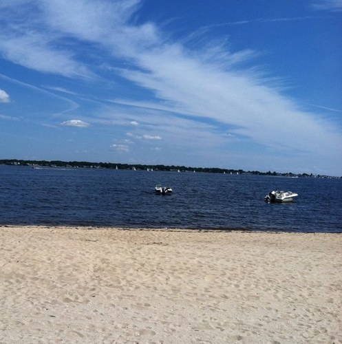 RDMSchic's profile picture. 