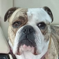 name cannot be blank (@namelessforhere) 's Twitter Profile