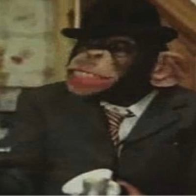 Der_Inselaffe1's profile picture. An Englishman in Hamburg