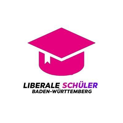 Die Liberalen Schüler aus Baden-Württemberg! 🚀 Gemeinsam für Weltbeste Bildung |  #liberal #bildung