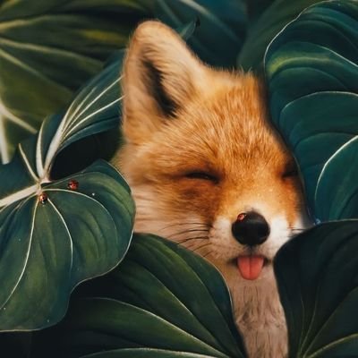 pu_pu_puu_'s profile picture. 