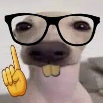 bluvestibulando's profile picture. frustrações acadêmicas