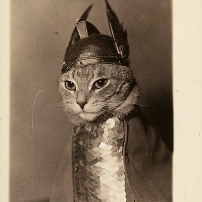 Flaeonian's profile picture. Dave, pianist, aimer as a hobby