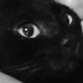 MmmmmqzMmmmm's profile picture. hold me while I'm drownin.