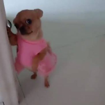 asarewaaaa's profile picture. Eat right. Stay fit. Die anyway.